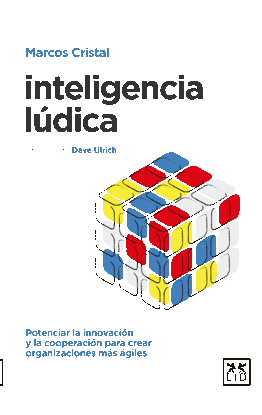 INTELIGENCIA LDICA