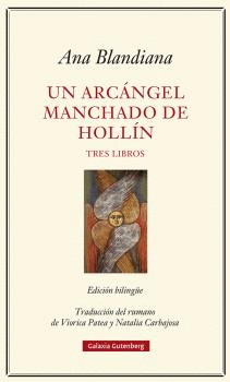 ARC�NGEL MANCHADO DE HOLL�N, UN