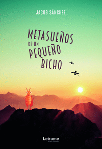 METASUE�OS DE UN PEQUE�O BICHO