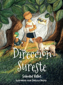 DIRECCIN SURESTE