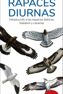 RAPACES DIURNAS (13 EDICION)