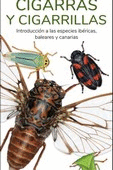 CIGARRAS Y CIGARRILLAS