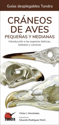 CRANEOS DE AVES PEQUEAS Y MEDIANAS