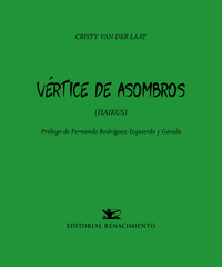 V�RTICE DE ASOMBROS