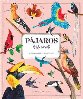 P�JAROS