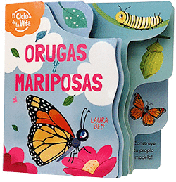 ORUGAS Y MARIPOSAS. EL CICLO DE LA VIDA