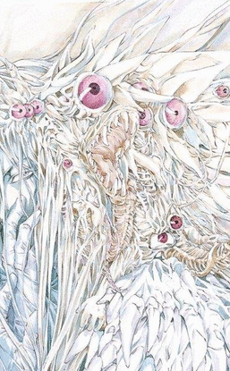 ANGEL SANCTUARY 08 DE 10