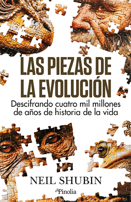 LAS PIEZAS DE LA EVOLUCI�N