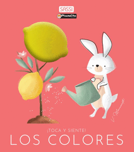 LOS COLORES