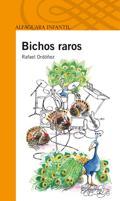 BICHOS RAROS (EBOOK)