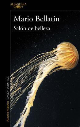 SAL�N DE BELLEZA (MAPA DE LAS LENGUAS)