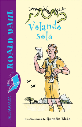 VOLANDO SOLO (EBOOK)