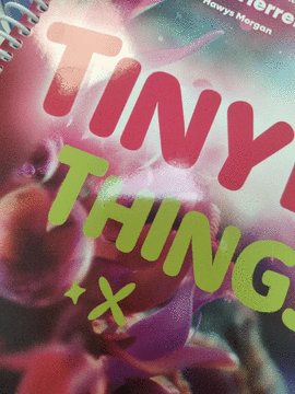 TINY BIG THINGS (BLUE) 3 PUPIL'S BOOK (SPAIN)