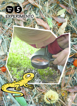 5 A�OS - EXPERIMENTO - FERVELLOS (GALICIA)