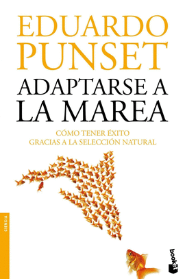 ADAPTARSE A LA MAREA COMO TENER EXI