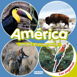 AM�RICA