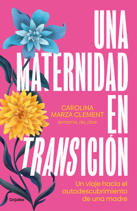 UNA MATERNIDAD EN TRANSICI�N
