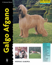 GALGO AFGANO (EXCELLENCE)