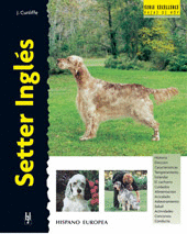 SETTER INGLS