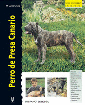 PERRO DE PRESA CANARIO (EXCELLENCE)