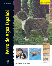PERRO DE AGUA ESPA�OL