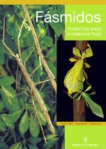 FSMIDOS. INSECTOS PALO E INSECTOS HOJA