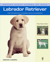 LABRADOR RETRIEVER NUEVAS GUAS PERROS DE RAZA