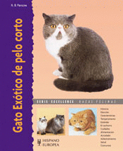 GATO EX�TICO DE PELO CORTO