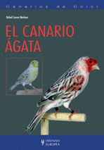 EL CANARIO GATA (CANARIOS DE COLOR)
