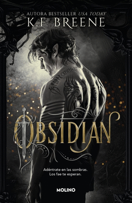 LOS FAE DE LAS SOMBRAS 1 - OBSIDIAN