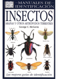 INSECTOS