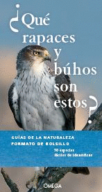 QUE RAPACES Y BUHOS SON ESTOS?