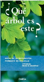 QUE ARBOL ES ESTE?