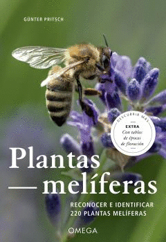 PLANTAS MELIFERAS