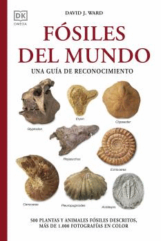 F�SILES DEL MUNDO