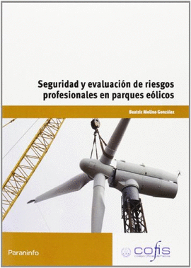 SEGURIDAD Y EVALUACIN DE RIESGOS PROFESIONALES EN PARQUES ELICOS