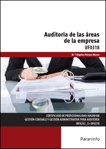 AUDITOR�A DE LAS �REAS DE LA EMPRESA