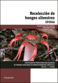 RECOLECCIN DE HONGOS SILVESTRES