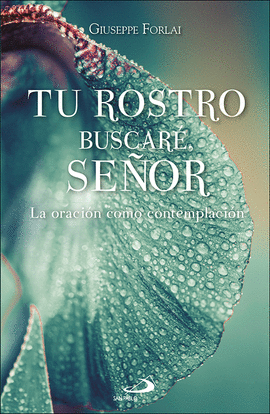 TU ROSTRO BUSCARE, SE�OR:LA ORACION COMO CONTEMPLACION