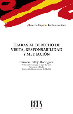 TRABAS AL DERECHO DE VISITA, RESPONSABILIDAD Y MEDIACI�N