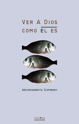 VER A DIOS COMO �L ES
