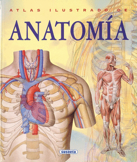 ANATOMIA ATLAS ILUSTRADO DE ANATOMI