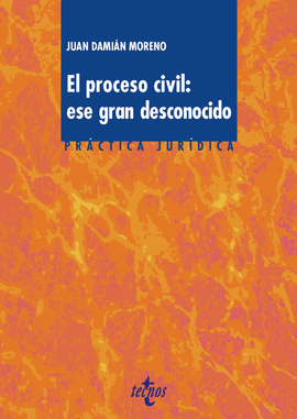 EL PROCESO CIVIL: ESE GRAN DESCONOCIDO