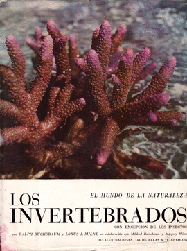 EL MUNDO DE LA NATURALEZA LOS INVERTEBRADOS