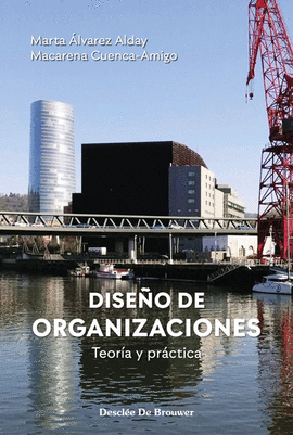 DISEO DE ORGANIZACIONES. TEORA Y PRCTICA