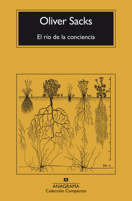 EL RO DE LA CONCIENCIA