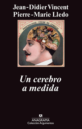 UN CEREBRO A MEDIDA   NEUROCIENCIA