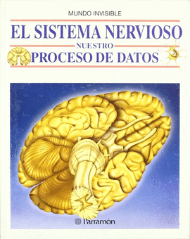 EL SISTEMA NERVIOSO