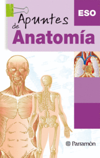 APUNTES DE ANATOMIA ESO E.S.O. DIGESTIVO NERVIOSO