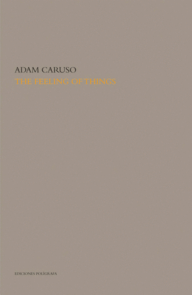 ENG THE FEELING OF THINGS
